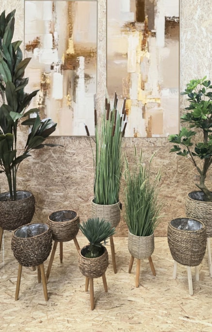 A natureza dentro de casa