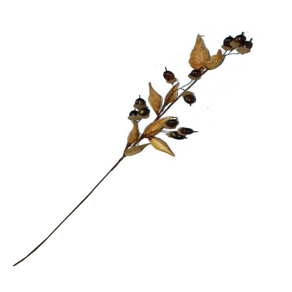 HASTE FRUT SECOS 80cm WK0810