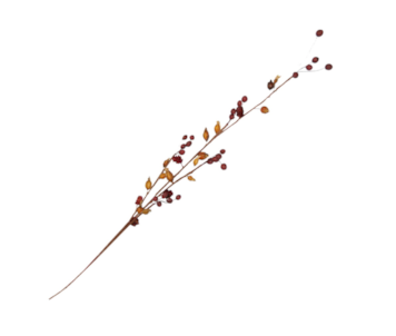 HASTE FRUT SECOS 80cm W0850