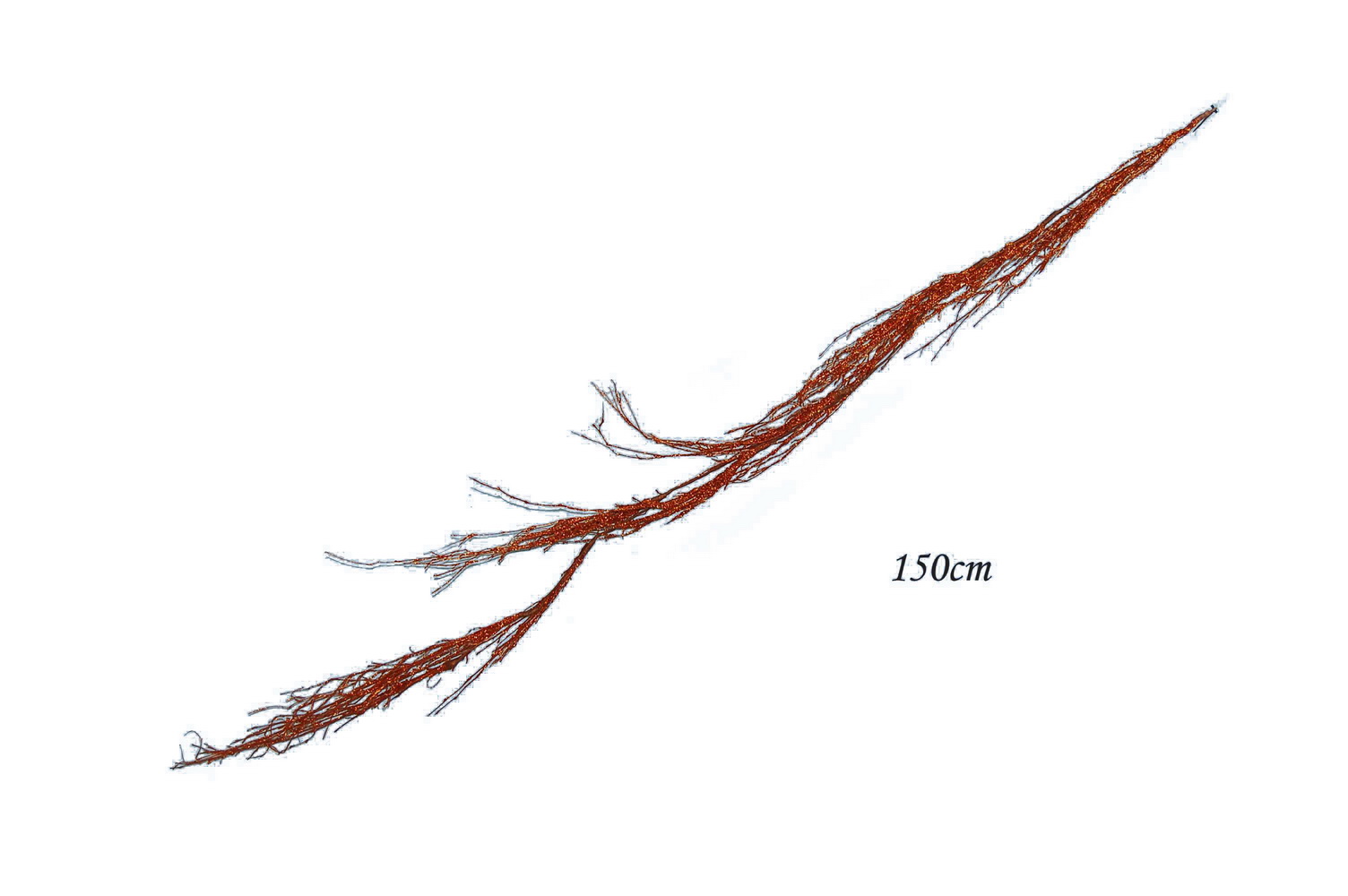 HASTE COB 150cm CF82623-1