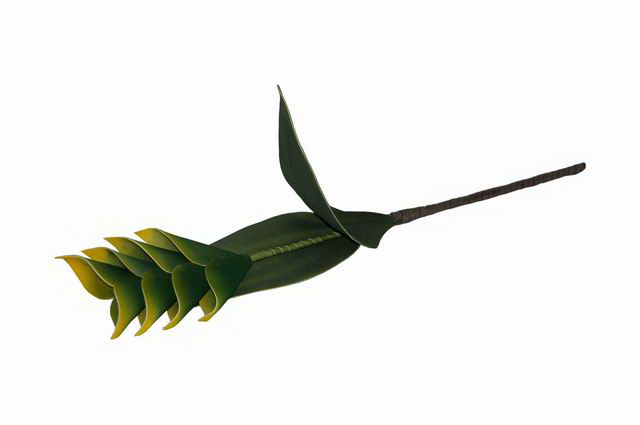 HASTE FLOR VERD/AMAR W100612083