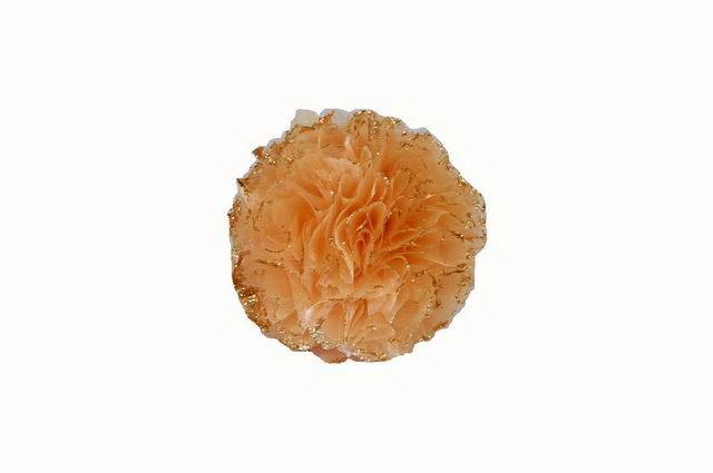 BOLA DEC 10cm SALMAO SN60046-18