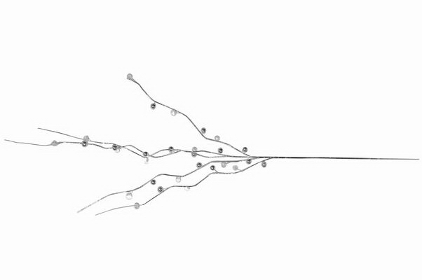 HASTE BAGAS TRANS 98cm DMY13B237-CL-SL