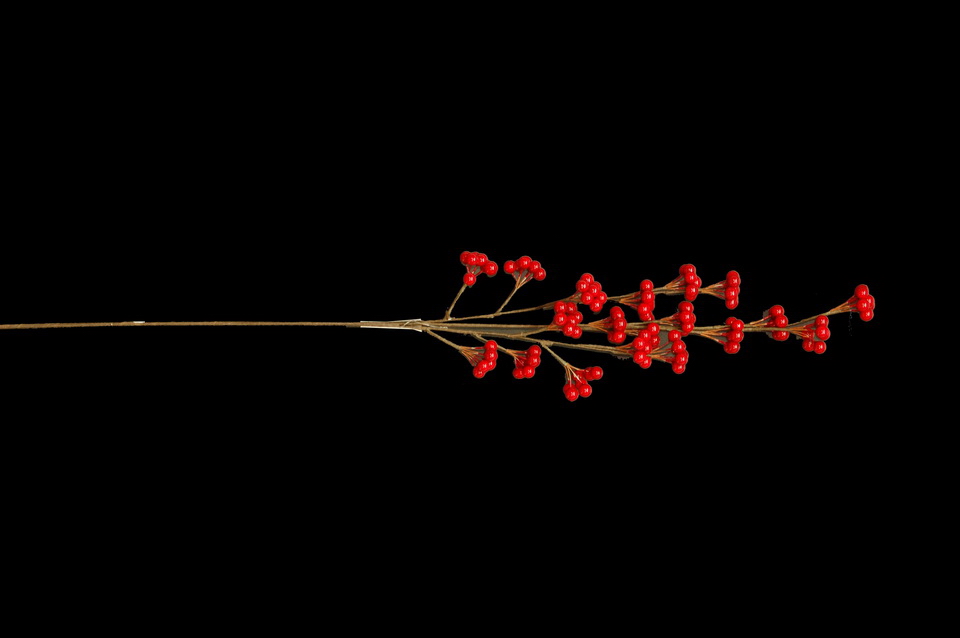 HASTE BAGAS VERM 78CM SL1750S31 RD