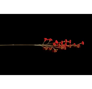 HASTE BAGAS VERM 78CM SL1750S31 RD