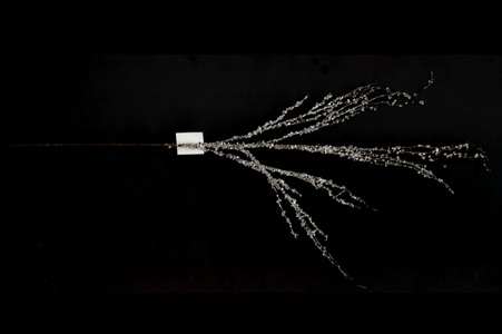 HASTE TRANSP 124CM SN1835S49 BR