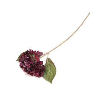 HORTENSIA BORD 65cm YX937820A BU