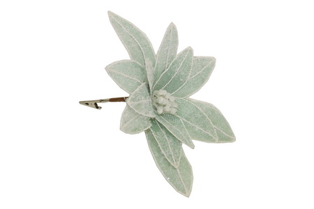 POINSETIA PICK D22x18 MENT HY12515-H277