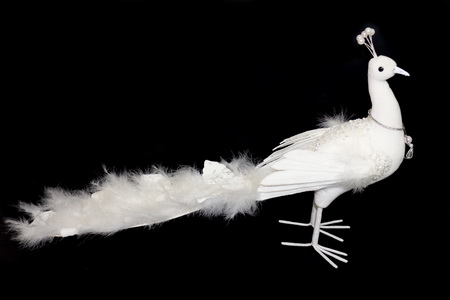 PAVAO 65x40x17 BRAN 688184082