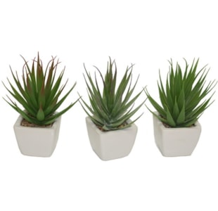 VASO C/CACTO 3 SORT TZM191019