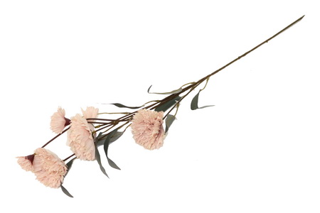 HASTE FLOR ROSA 80cm BY19216#3