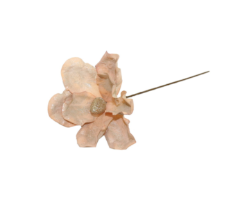 HASTE MAGNOLIA 59cm SALM FD299301#4