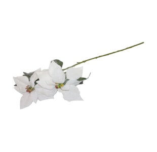 HASTE PONSETIA 80cm BRAN HZY01111MG-WH
