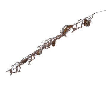 DEC NATAL HASTE CHL28186