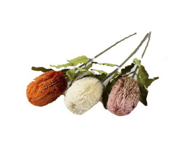 HASTE PROTEIA PASTEL 65cm 20305