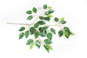 HASTE FOLHAGEM FICUS 67 cm 52876