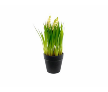VASO  HYACINTH PER 25cm 04.0011410