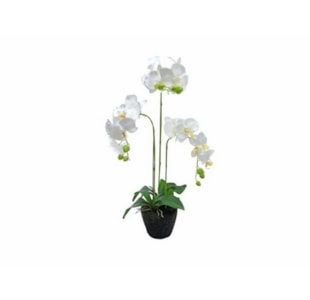 PLANTA ORQUIDEA BR 85cm 04.0011066