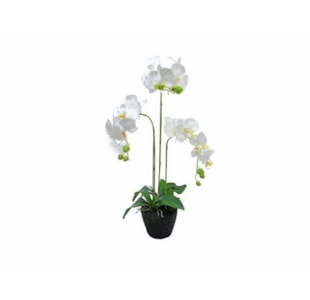 VASO ORQUIDEA BR 85cm 04.0011066