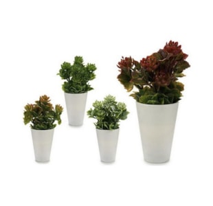 VASO CACTOS 4 SORT 23cm 55284