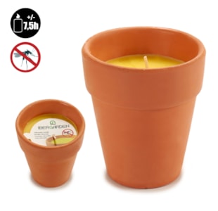 VELA COPO CITRONELA 8x8 24138