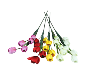 HASTE TULIPAS X 5 28010