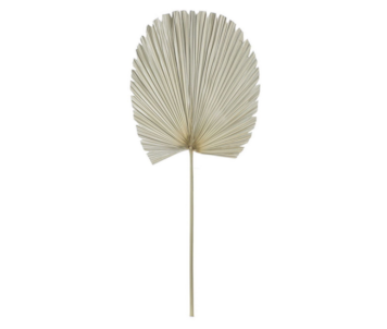 FOLHA PALMEIRA NAT 45X103 DH-186769