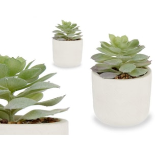 VASO CACTOS 9X14cm 18284