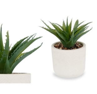 VASO CACTOS 9X14cm 18285