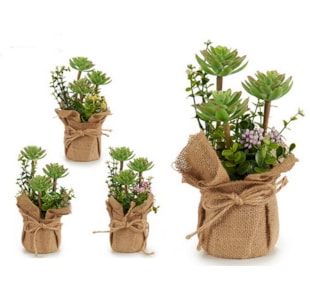 VASO SACO CACTOS 4 S 26cm 20816
