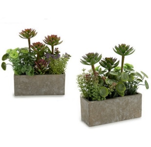 FLOREIRA C/PLANTAS 2S 17x22 30508