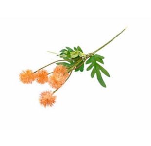 HASTE FLOR SALMAO 40cm 04 0011649