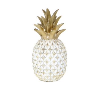 ANANAS RES 10x27x10 20425K3