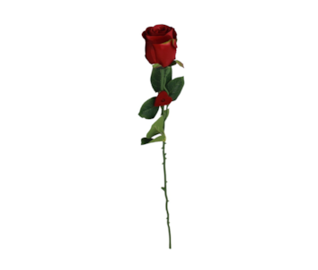 HASTE ROSA CORACAO 65cm BY1920030