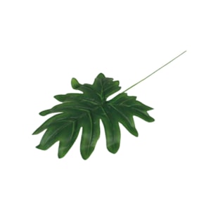 FOLHA ARALIA 54cm 37030