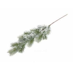 HASTE PINHEIRO 65cm 10 0006982