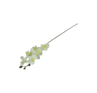 HASTE ORQUIDEA 78cm 20027