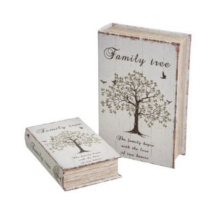 CJ 2 CAIXAS MDF LIVRO 18x27 806036