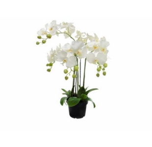 VASO ORQUIDEA BR 65cm 04 0013441