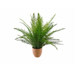 VASO C/FETOS 47cm 04 0013449