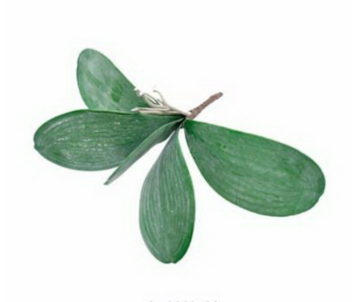 FOLHAGEM ORQUIDEA 25cm 04 0010701