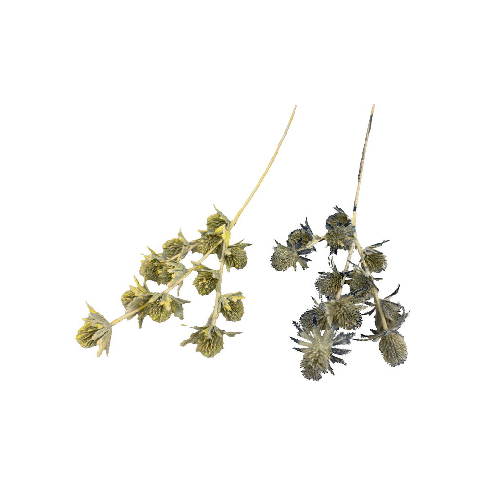 HASTE SILVESTRE FLOC 63cm 30311