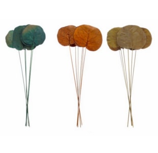 EMB FLOR SEAGRAPES SORT 04 237