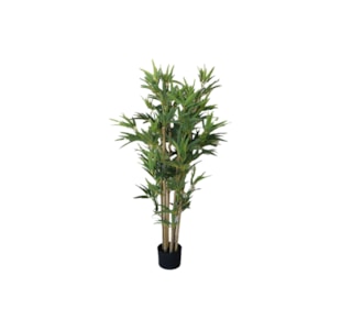 PLANTA BAMBOO 180cm 40033