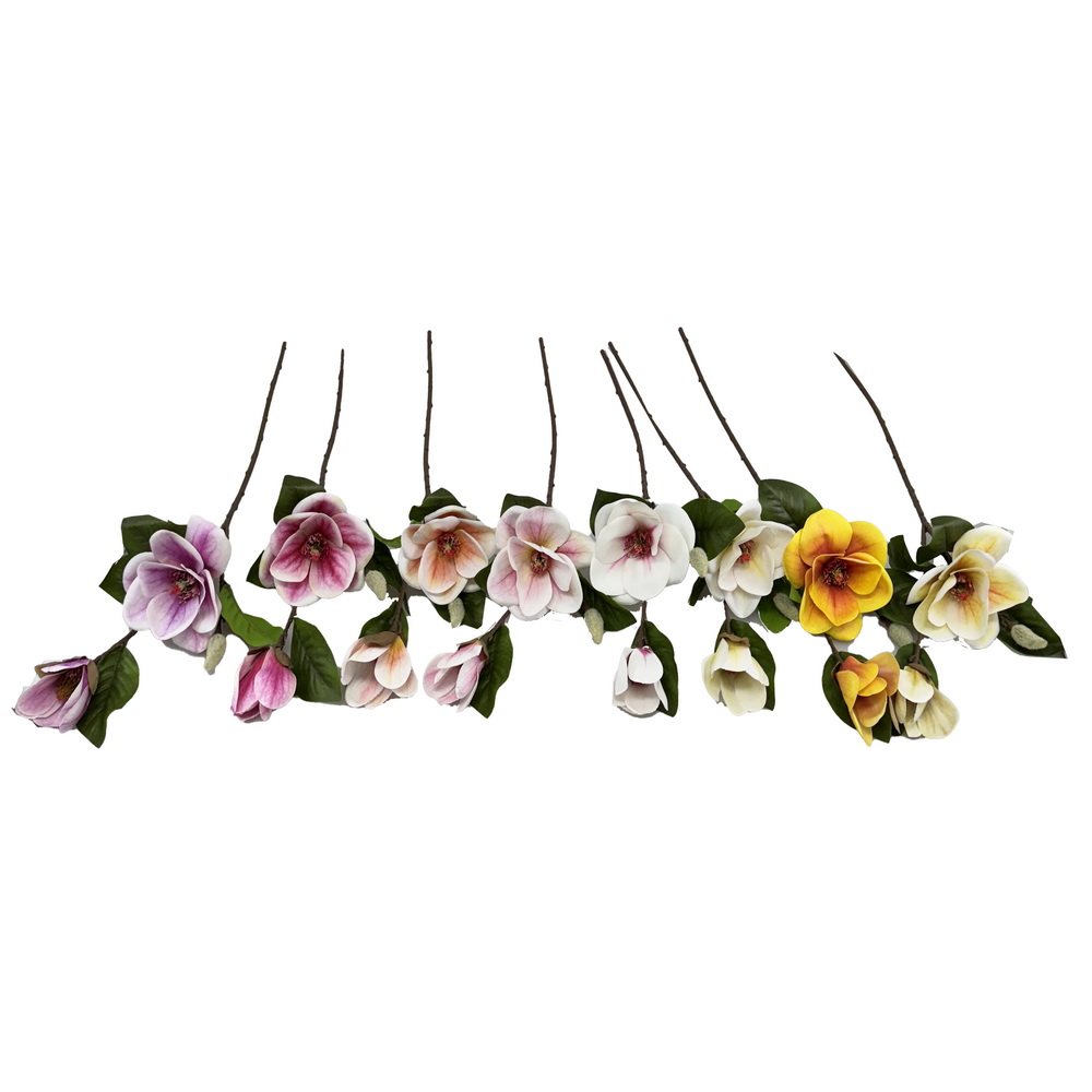 HASTE MAGNOLIA 65cm 30347