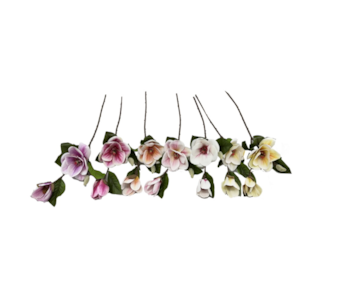 HASTE MAGNOLIA 65cm 30347