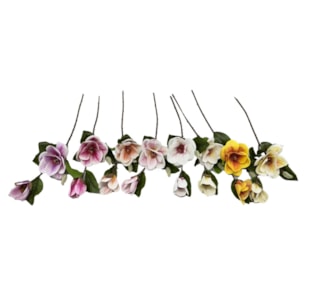 HASTE MAGNOLIA 65cm 30347