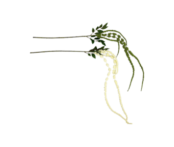 HASTE AMARANTHUS 105cm 30345