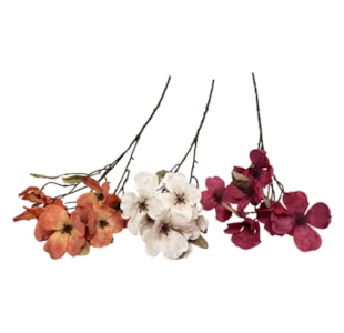 HASTE MAGNOLIA 75cm 64014