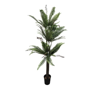 PLANTA FETOS 150cm 15012